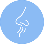 Sense of smell icon